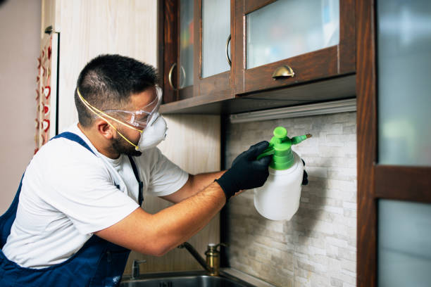 Best Bed Bug Extermination  in Adrian, MI
