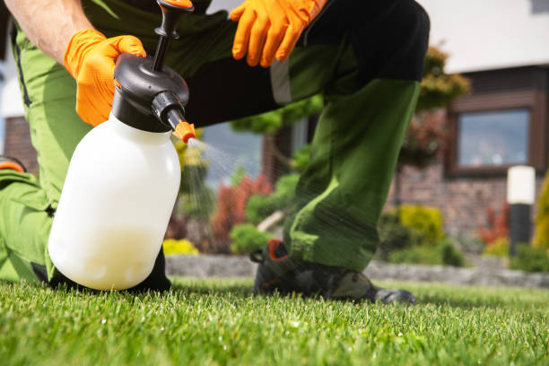 Pest Prevention Services in Adrian, MI