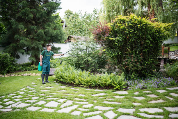 Best Pest Control Near Me in Adrian, MI
