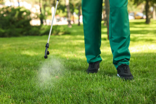 Best Pest Control Near Me in Adrian, MI