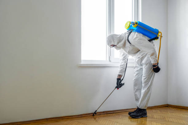 Best Emergency Pest Control  in Adrian, MI