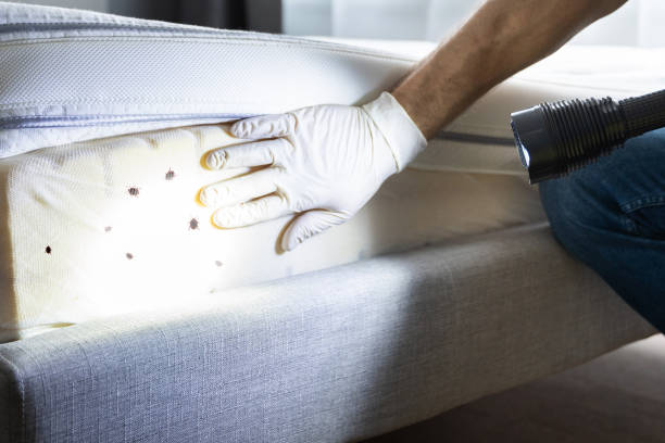 Best Affordable Exterminators  in Adrian, MI