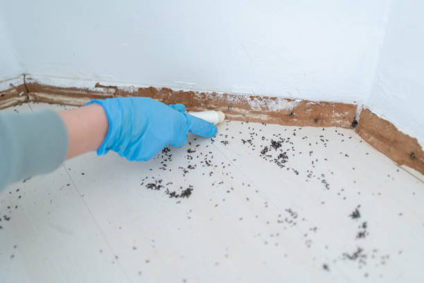  Adrian, MI Pest Control Pros