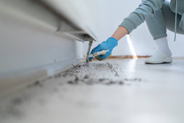 Best Pest Control Treatment  in Adrian, MI
