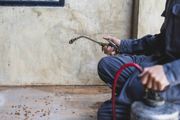 Wasp Removal Services in Adrian, MI